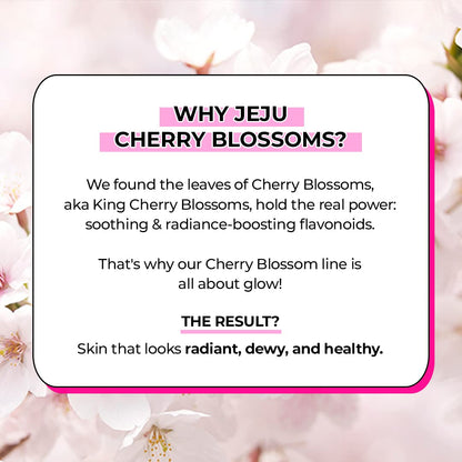 Innisfree Dewy Glow Jelly Cream with Jeju Cherry Blossom Facial Cream