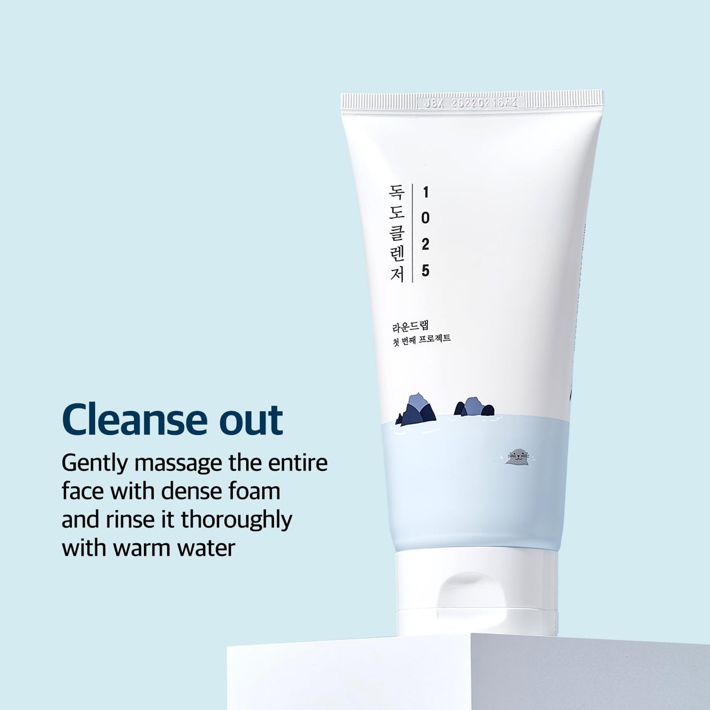 Round Lab 1025 Dokdo Cleanser 