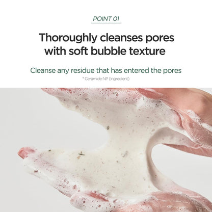 Anua heartleaf quercetinolt™ pore deep cleansing foam