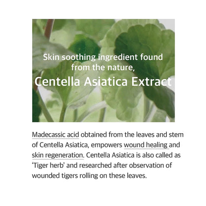 Mixsoon Soondy Centella Asiatica Essence